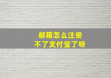 邮箱怎么注册不了支付宝了呀