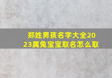 郑姓男孩名字大全2023属兔宝宝取名怎么取