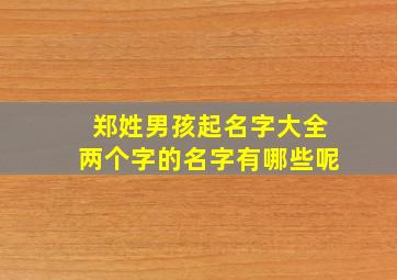 郑姓男孩起名字大全两个字的名字有哪些呢