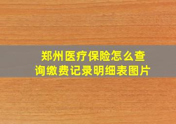 郑州医疗保险怎么查询缴费记录明细表图片