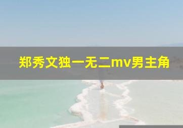 郑秀文独一无二mv男主角