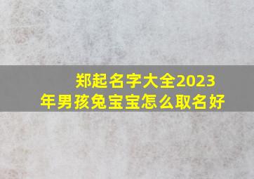 郑起名字大全2023年男孩兔宝宝怎么取名好