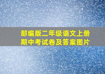 部编版二年级语文上册期中考试卷及答案图片