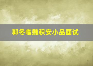 郭冬临魏积安小品面试