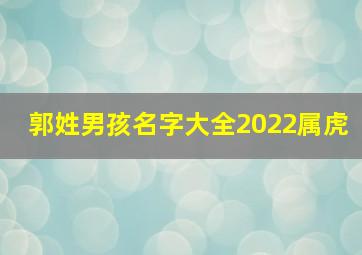 郭姓男孩名字大全2022属虎