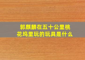 郭麒麟在五十公里桃花坞里玩的玩具是什么