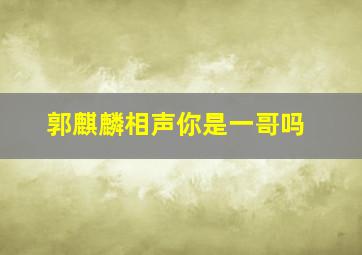 郭麒麟相声你是一哥吗