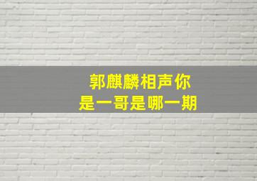 郭麒麟相声你是一哥是哪一期