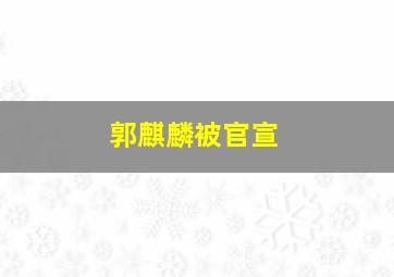 郭麒麟被官宣