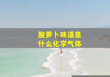 酸萝卜味道是什么化学气体