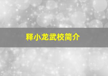 释小龙武校简介