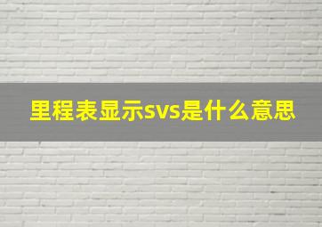 里程表显示svs是什么意思