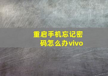 重启手机忘记密码怎么办vivo