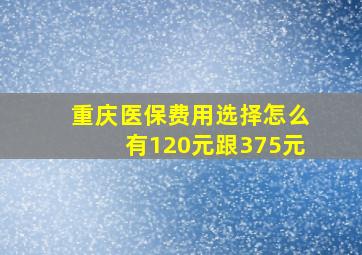 重庆医保费用选择怎么有120元跟375元