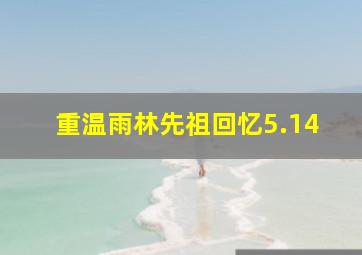 重温雨林先祖回忆5.14