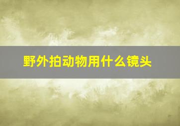 野外拍动物用什么镜头