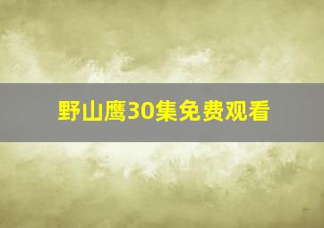 野山鹰30集免费观看