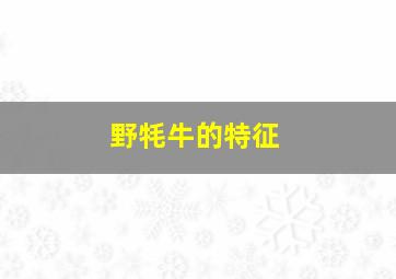 野牦牛的特征