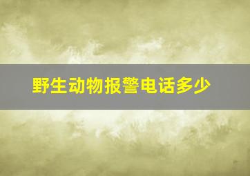 野生动物报警电话多少