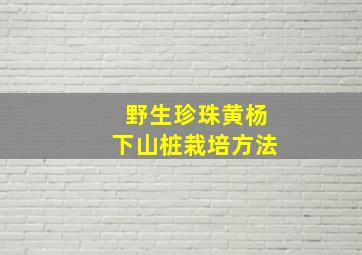 野生珍珠黄杨下山桩栽培方法