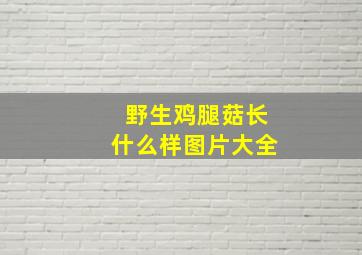 野生鸡腿菇长什么样图片大全