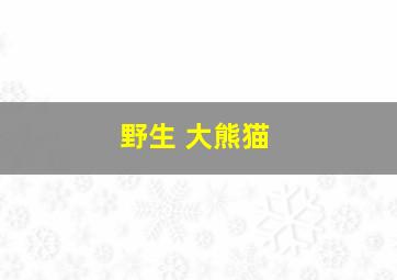 野生 大熊猫