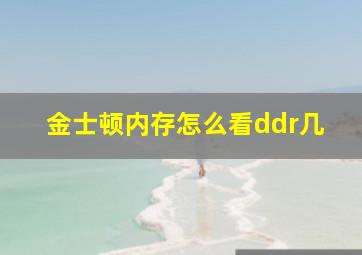 金士顿内存怎么看ddr几