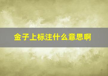 金子上标注什么意思啊