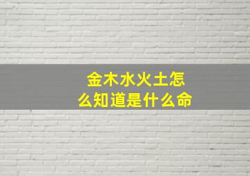 金木水火土怎么知道是什么命