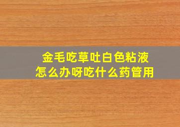 金毛吃草吐白色粘液怎么办呀吃什么药管用