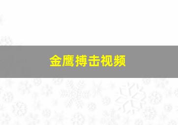 金鹰搏击视频