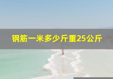 钢筋一米多少斤重25公斤