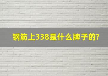 钢筋上338是什么牌子的?