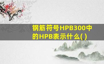 钢筋符号HPB300中的HPB表示什么( )