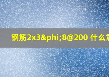 钢筋2x3φ8@200 什么意思