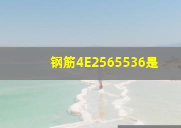 钢筋4E2565536是