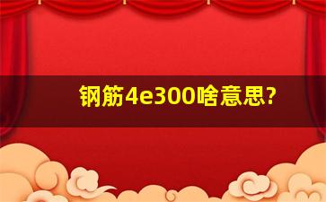 钢筋4e300啥意思?