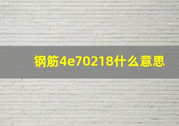 钢筋4e70218什么意思