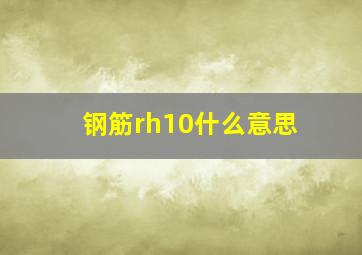 钢筋rh10什么意思