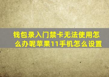 钱包录入门禁卡无法使用怎么办呢苹果11手机怎么设置