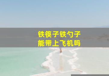 铁筷子铁勺子能带上飞机吗