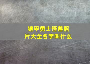 铠甲勇士怪兽照片大全名字叫什么