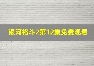 银河格斗2第12集免费观看