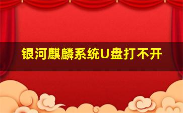 银河麒麟系统U盘打不开