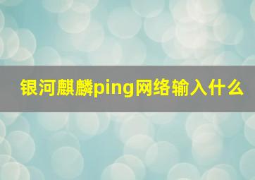 银河麒麟ping网络输入什么