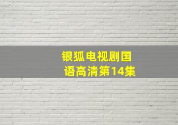 银狐电视剧国语高清第14集