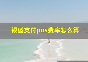 银盛支付pos费率怎么算