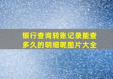 银行查询转账记录能查多久的明细呢图片大全