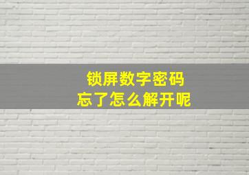 锁屏数字密码忘了怎么解开呢