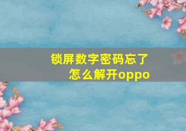 锁屏数字密码忘了怎么解开oppo